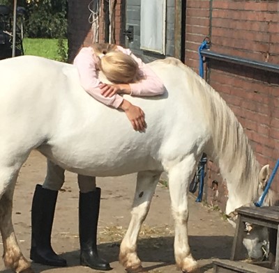 De Noord-Hollandse Bauwe Zorgboerderij