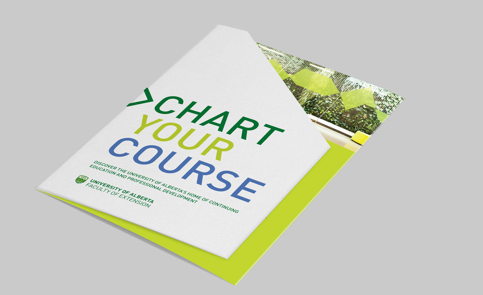 Course Catalog