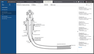 Well schematic