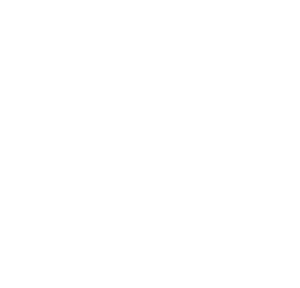 Dog Boarding Kennels South Auckland Doggy Daycare Dog Grooming