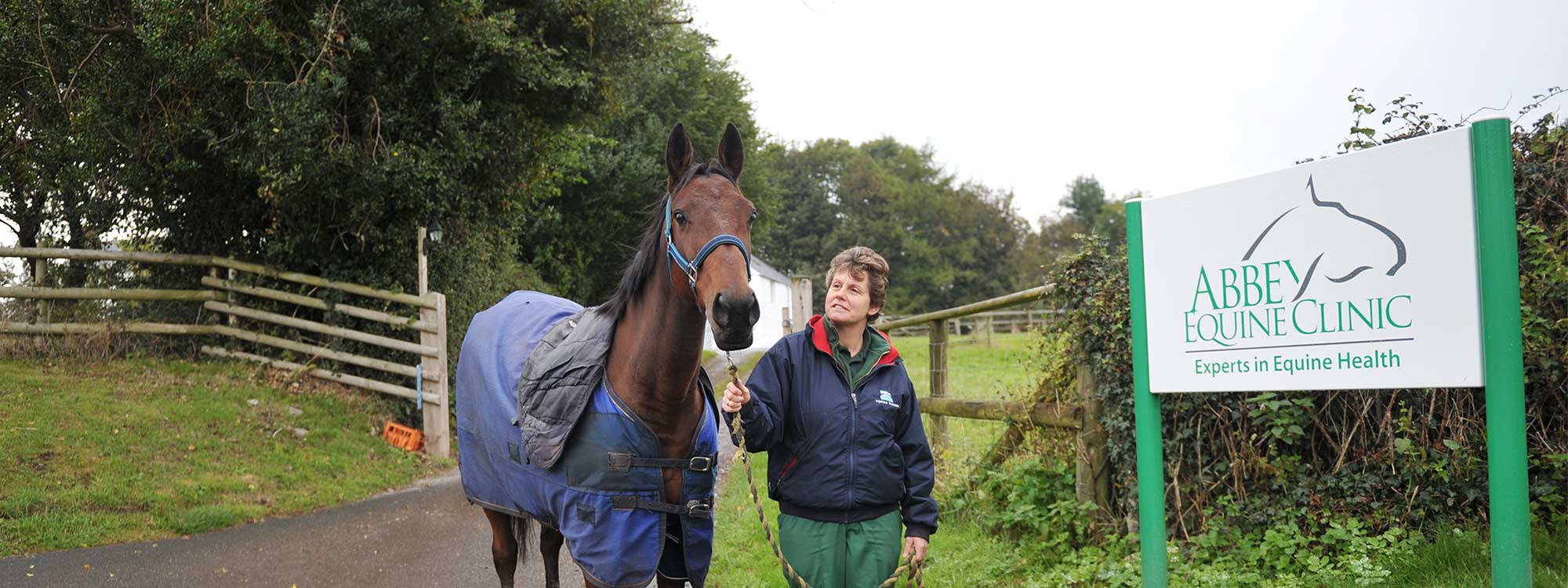 Abbey Equine Services