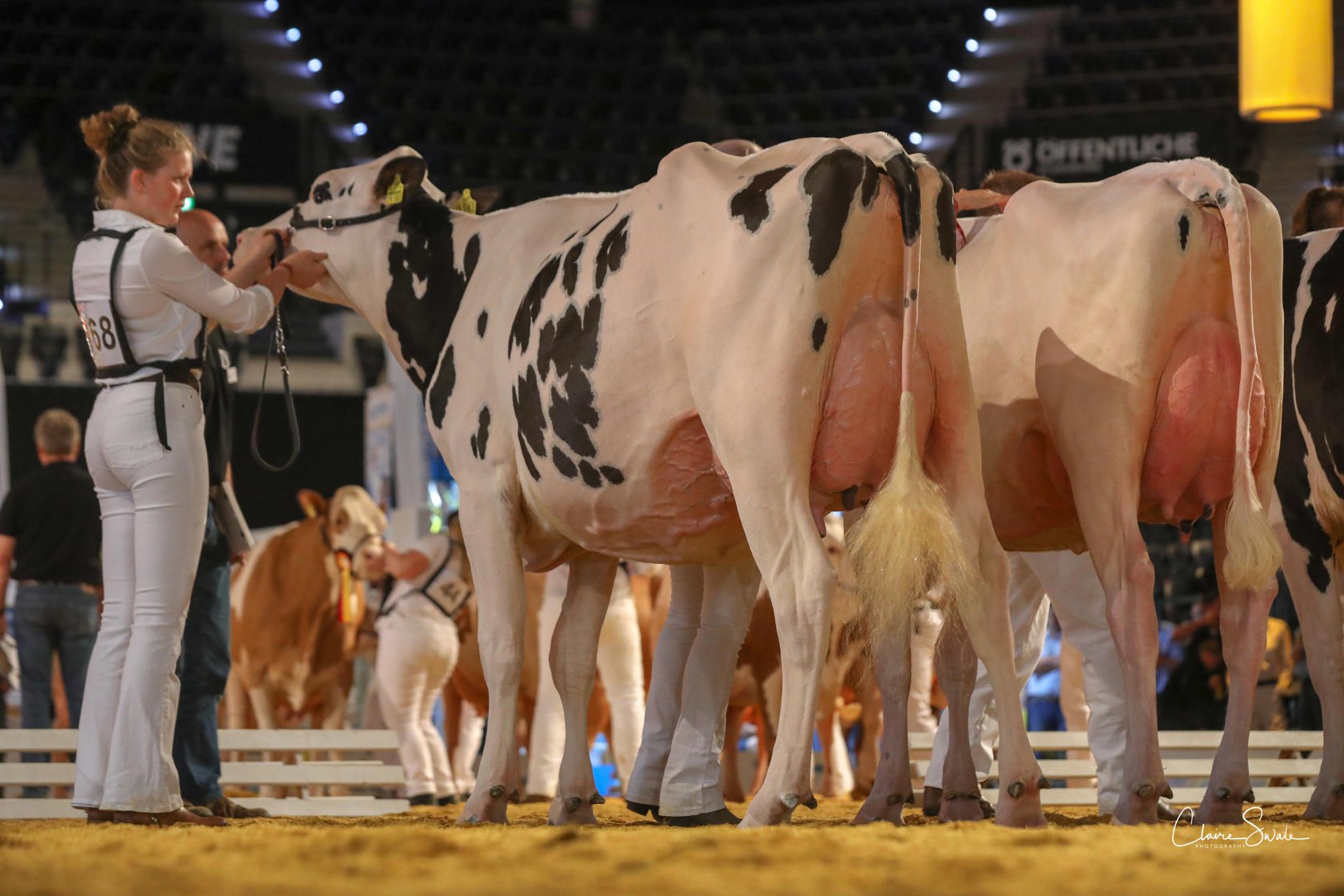 dominiert die German Dairy Show 2019! World Wide Sires Deutschland