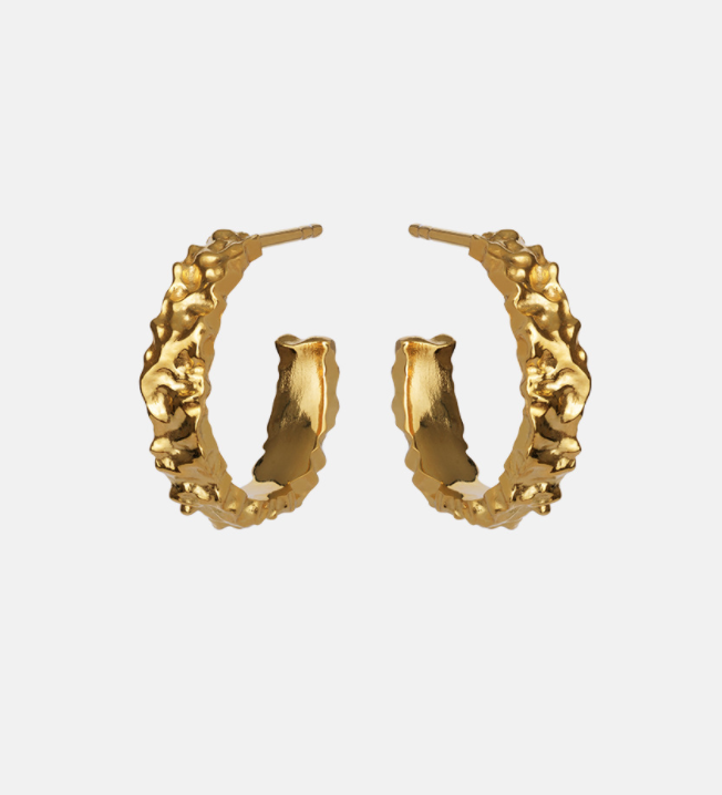 Aio medium earrings