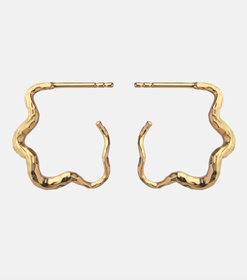 Carin earrings
