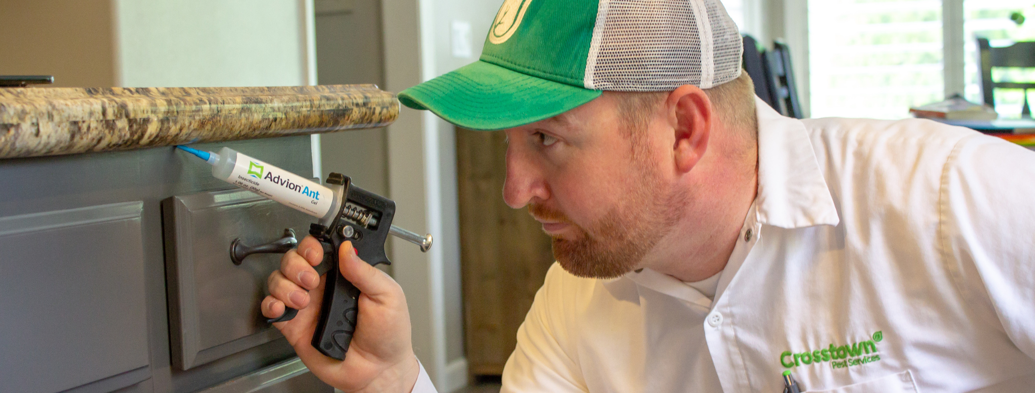 Mouse pest Control with pest technician