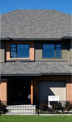 The Brighton