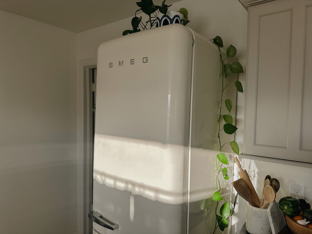 Smeg Refrigerator Inside View