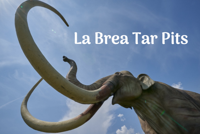 the la brea tar pits