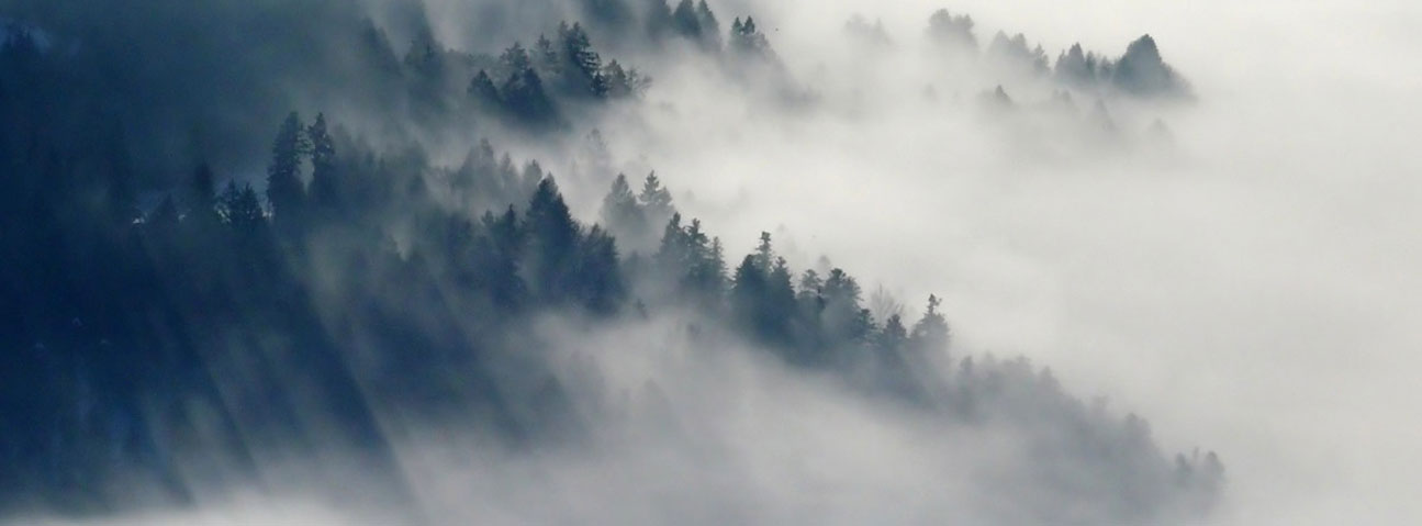 Brain Fog 6 Solutions To Help You Improve Concentration