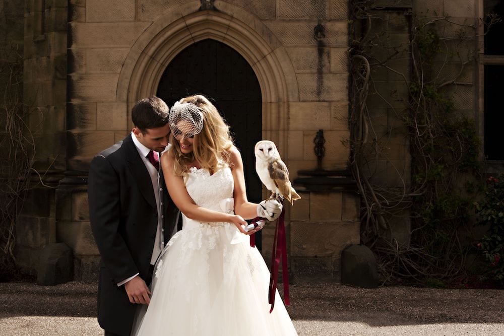 Owl at a wedding on brides hand