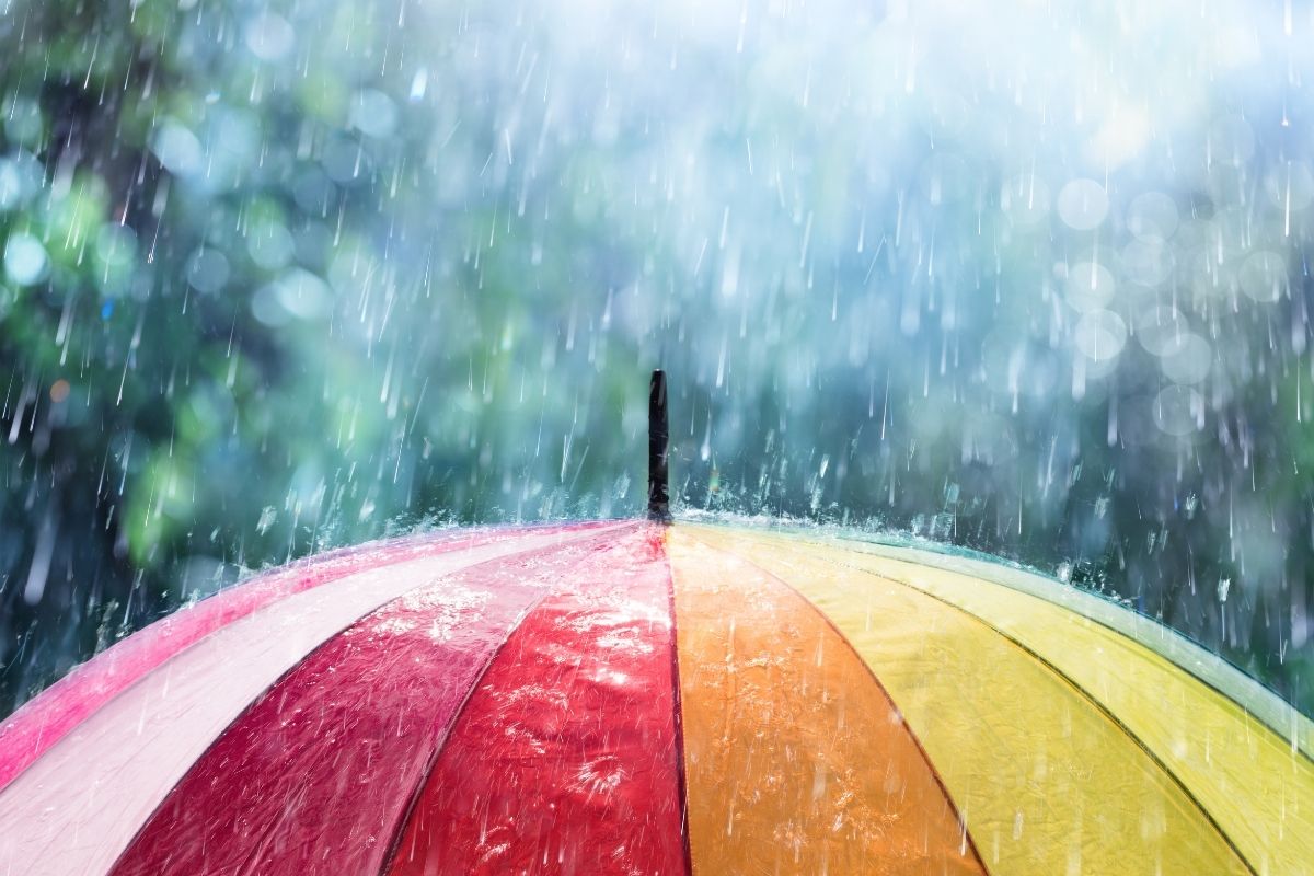 Rainy day