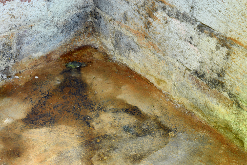 mold growing in the corner of basement