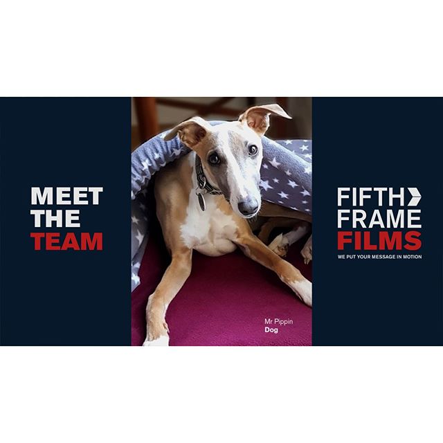 Meet the Team - Mr Pippin - Video Production Company London