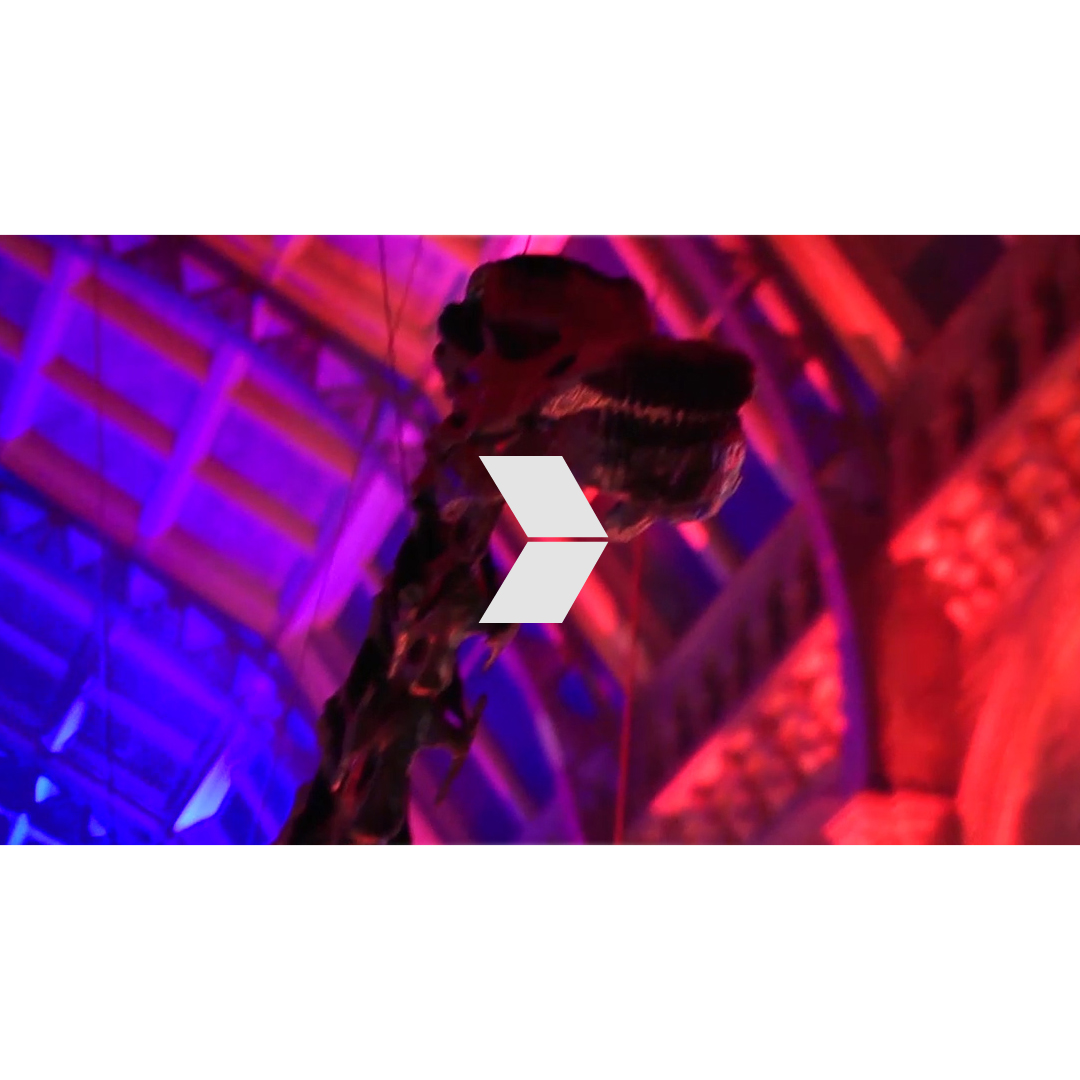 Night at the Museum