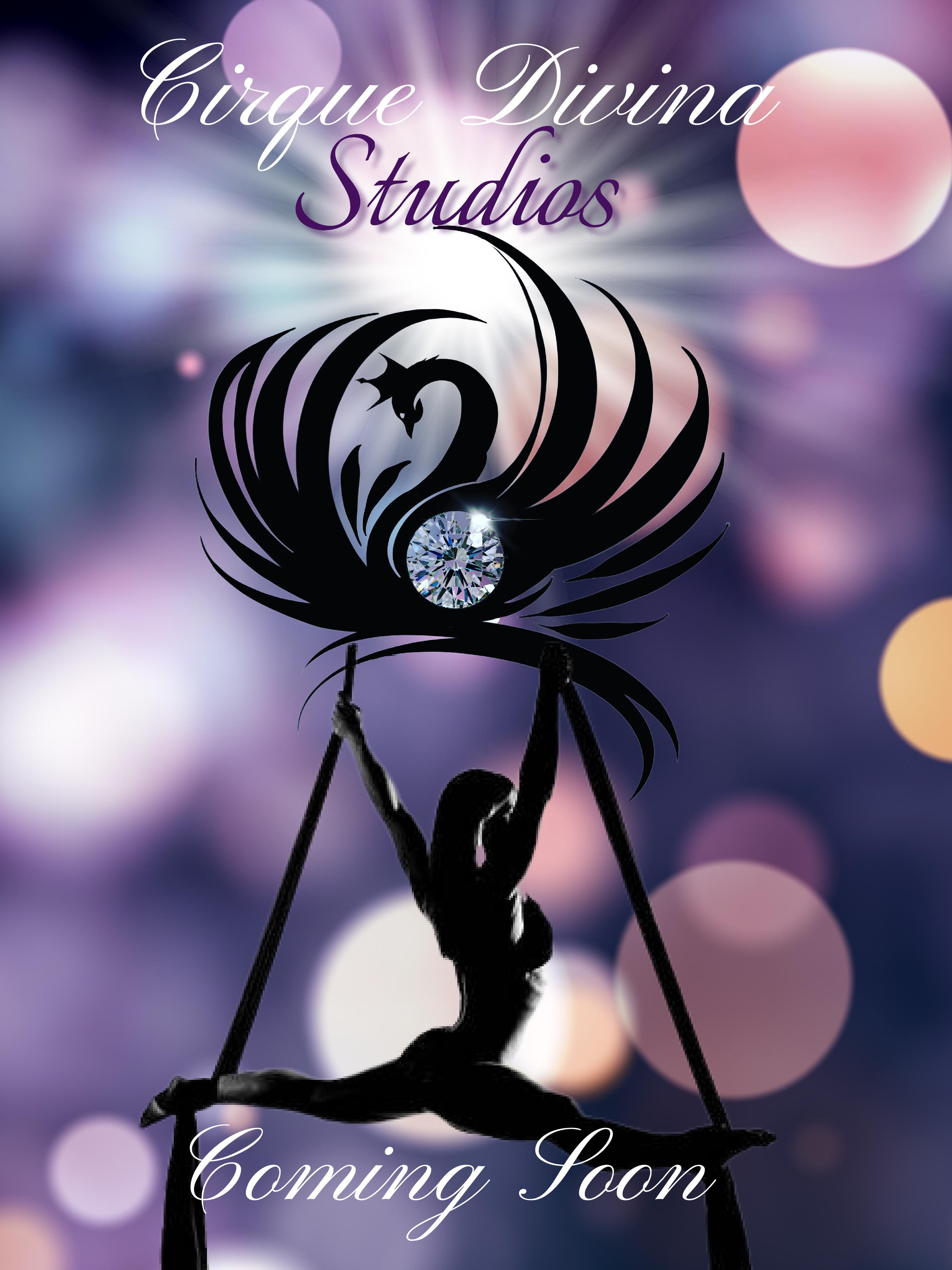 Cirque Divina Studio