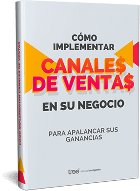 Ebook - Cómo implementar canales de ventas en su negocio.