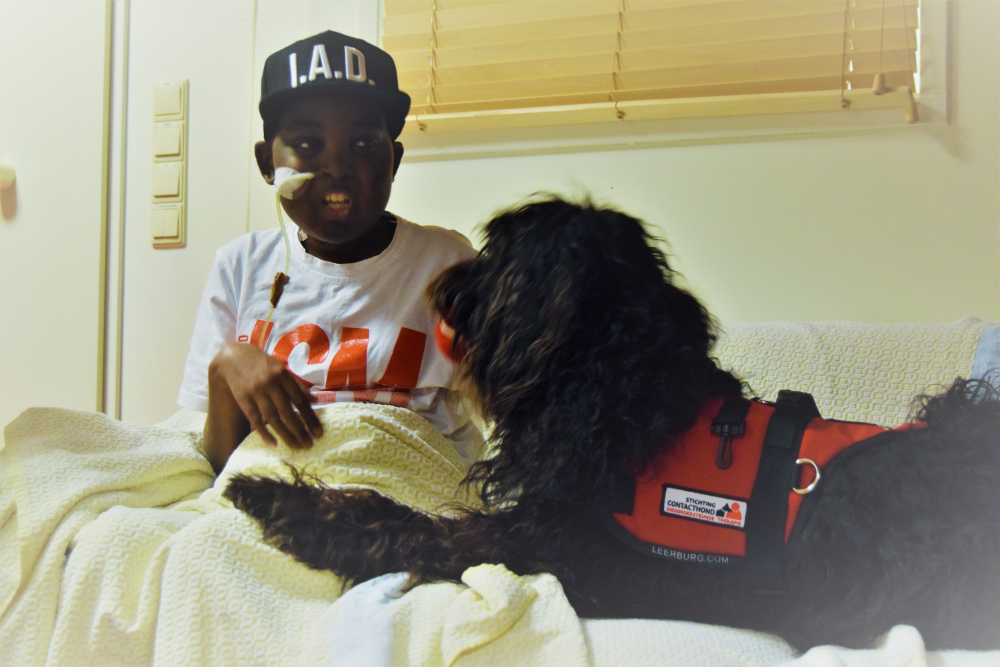 Effect Therapiehond
