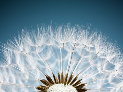 Secretly Wishing for a Different Career? How To Turn Your Passion Into Reality
