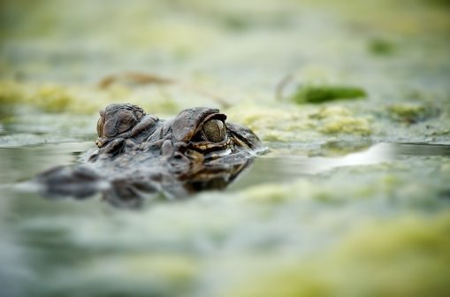 Why True Leaders Never Blame Others (Or Circumstances)