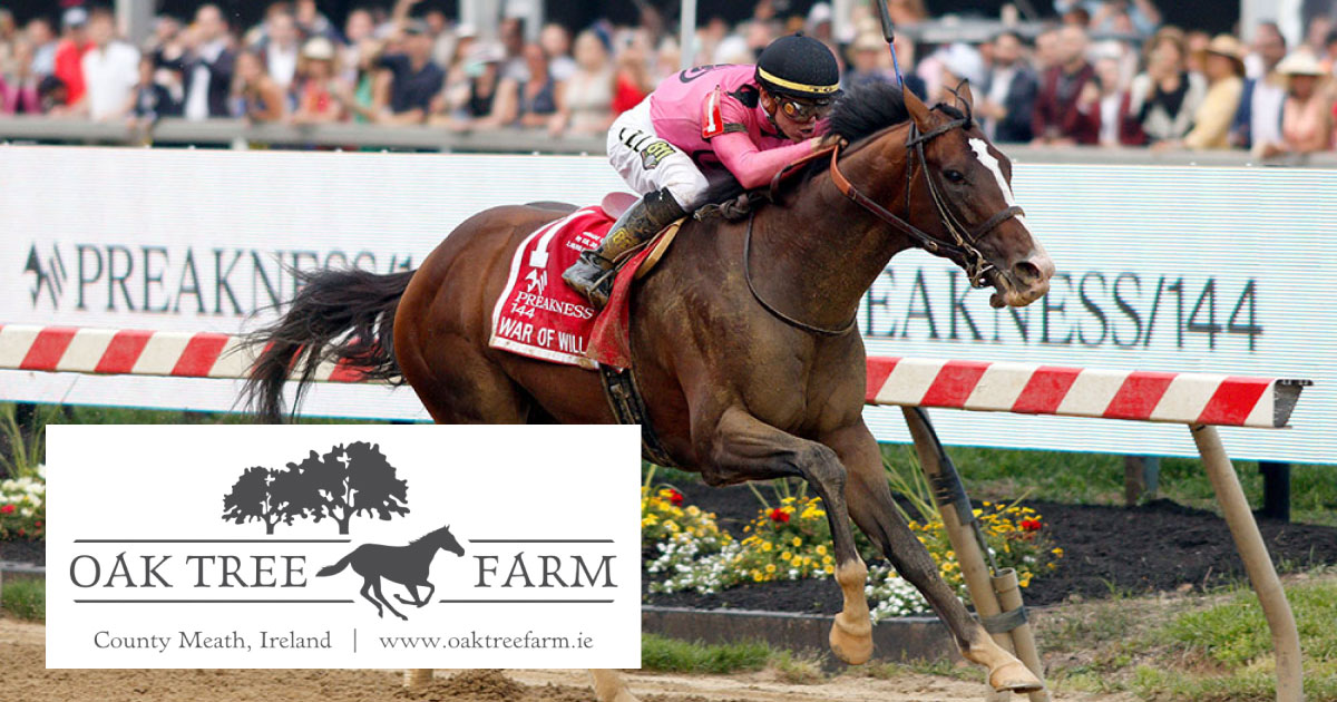 About Oak Tree Farm Co Meath Ireland