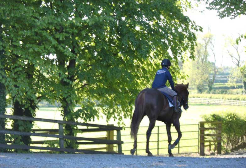 Contact Oak Tree Farm Co Meath Ireland