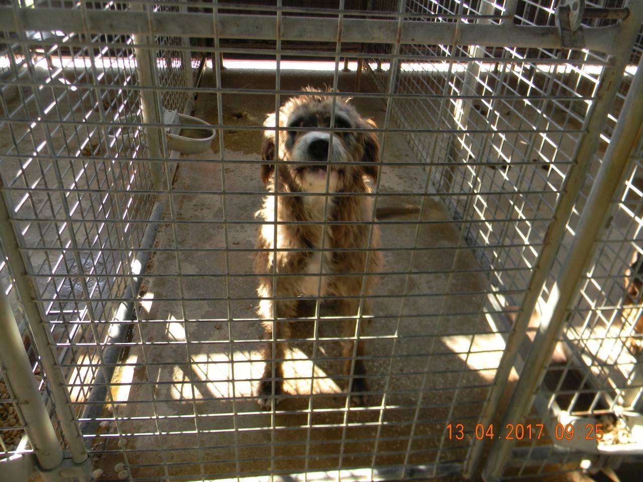 Are you fighting to keep pounds highkill (without even realising it