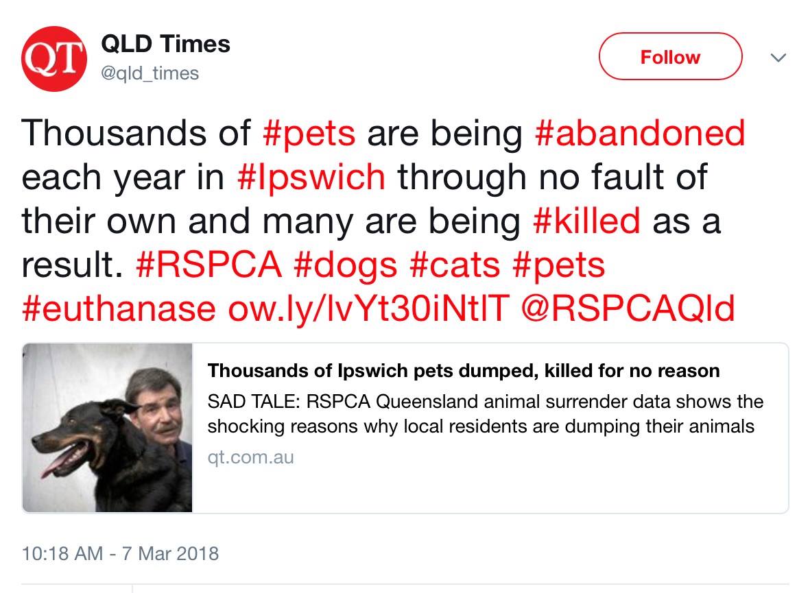 RSPCA QLD gets a big, new shelter in Ipswich (and a boarding kennel too