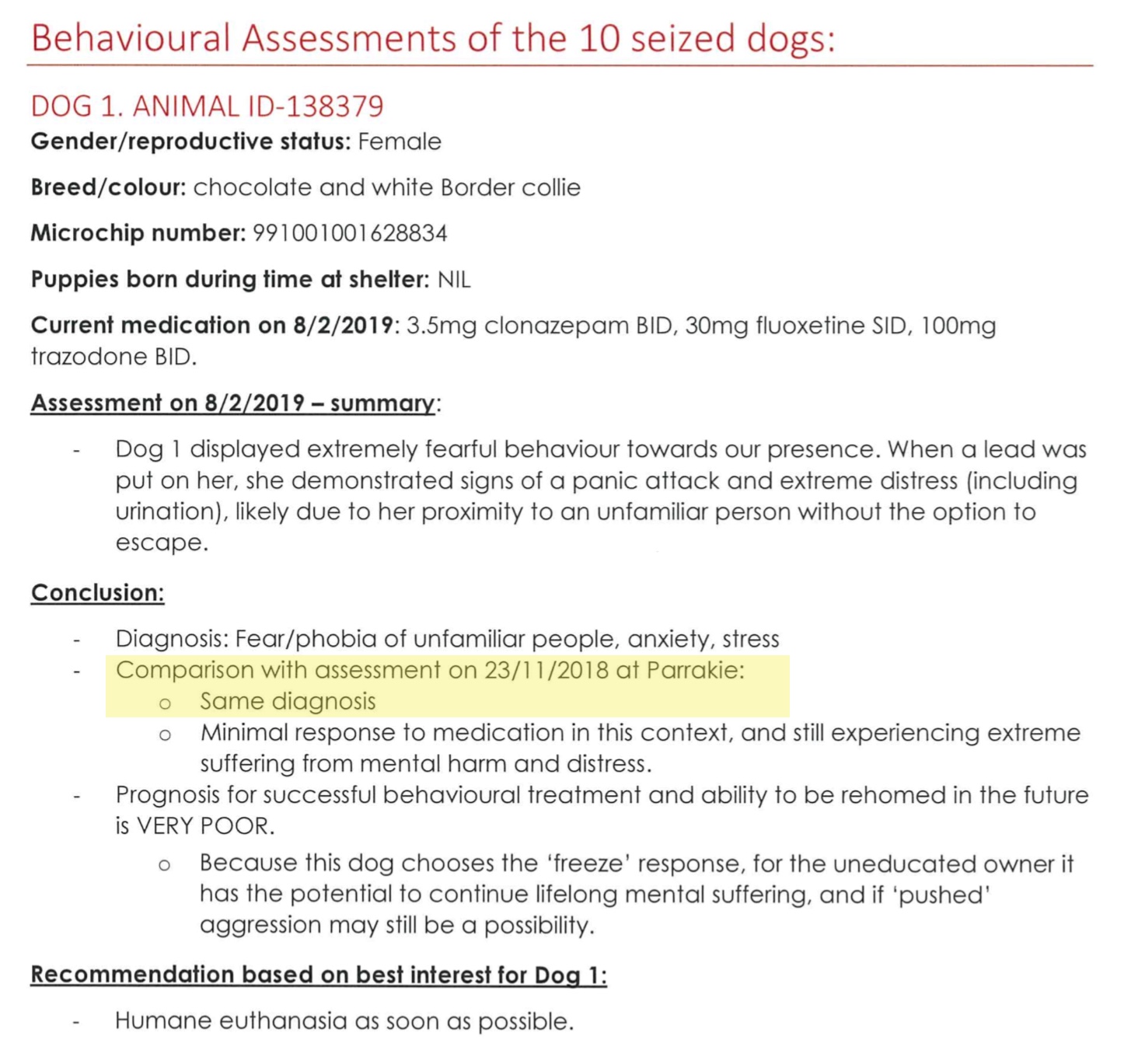 The RSPCA SA want to kill these border collies Saving Pets