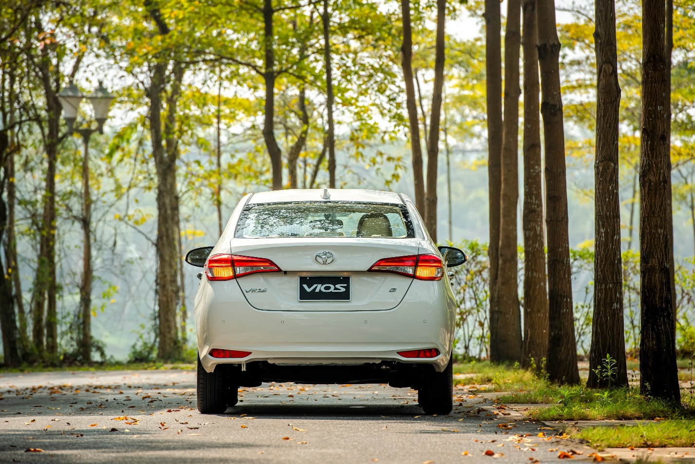 Đuôi xe Vios G 2021