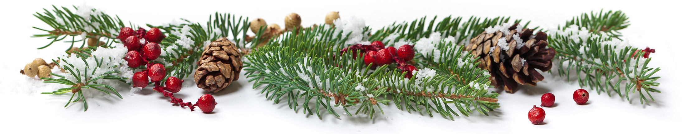 Holly Jolly Microlearning - OttoLearn Adaptive Learning