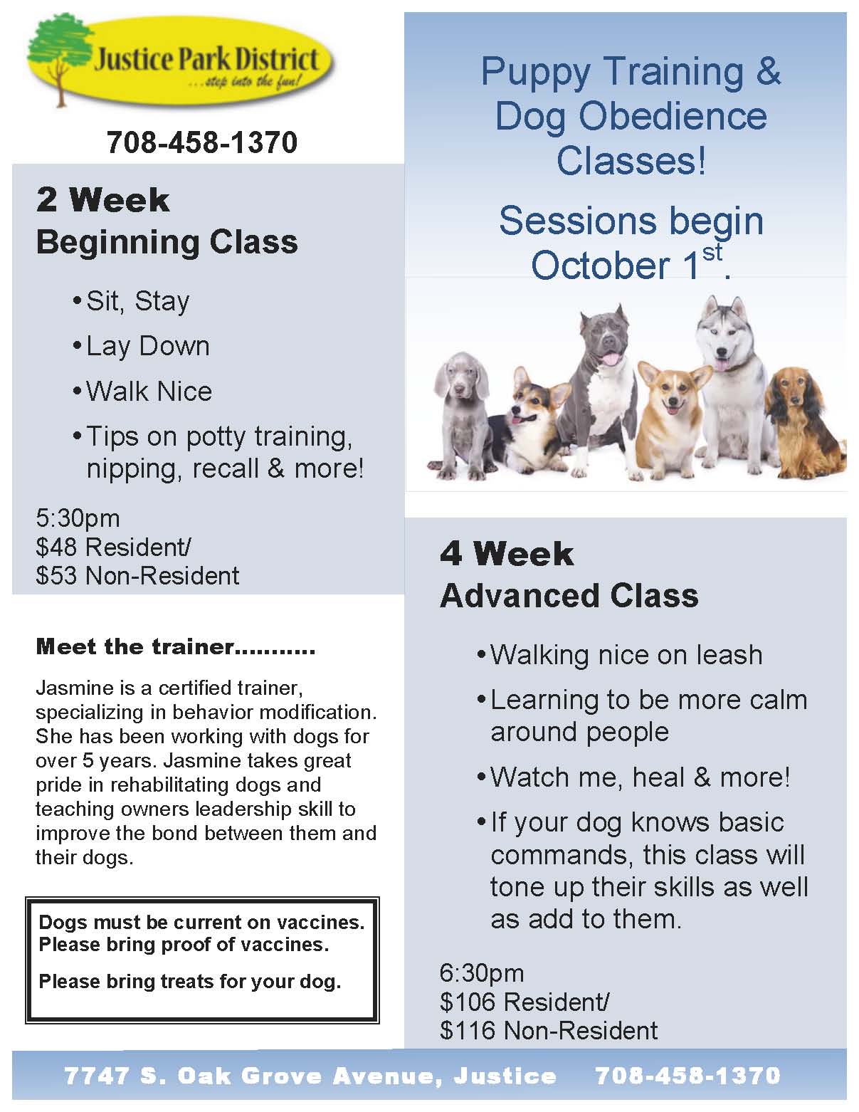 adult dog obedience training