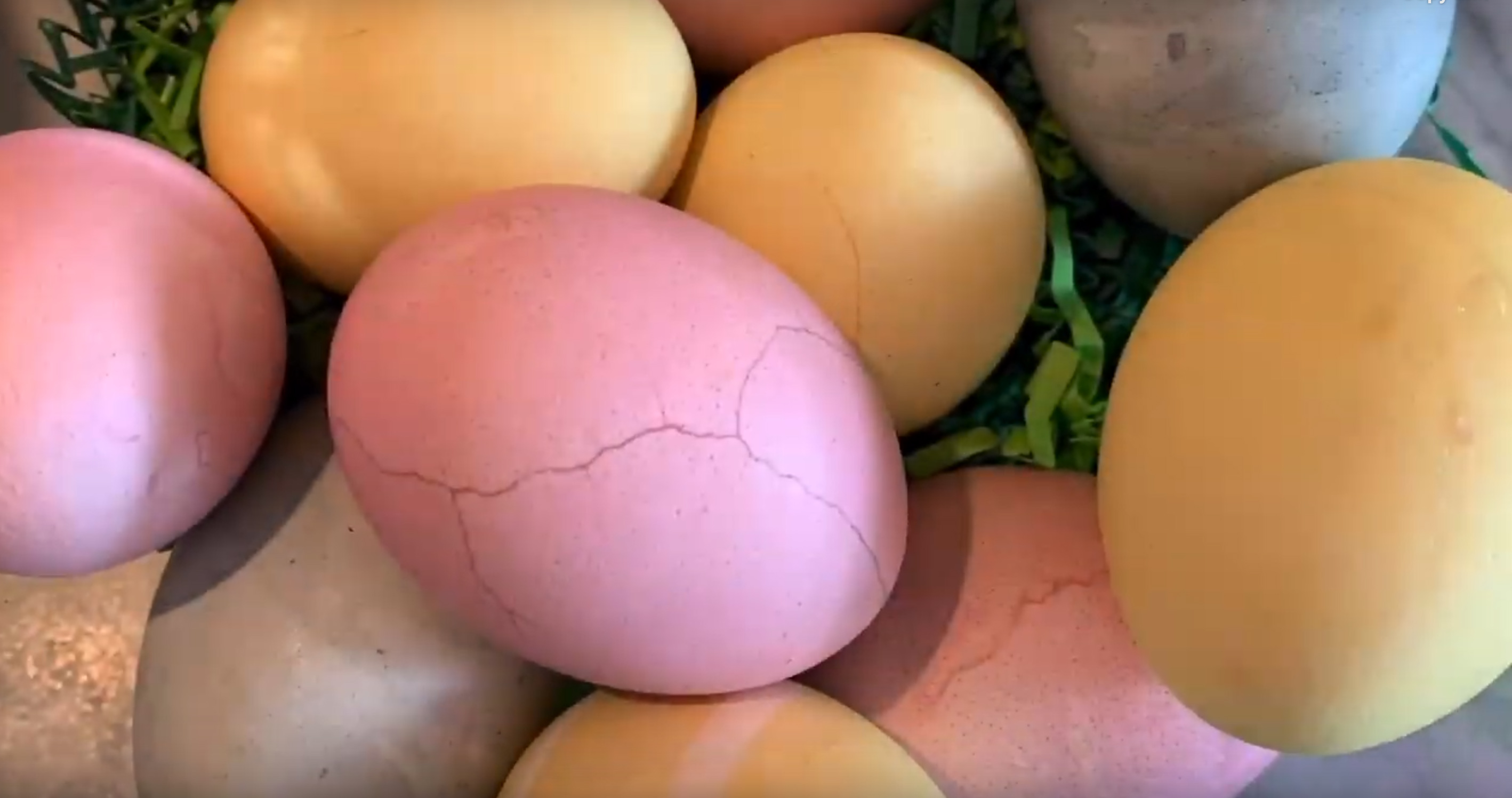 Explore Museum Sandbox Activities Egg Dyeing with Natural Ingredients