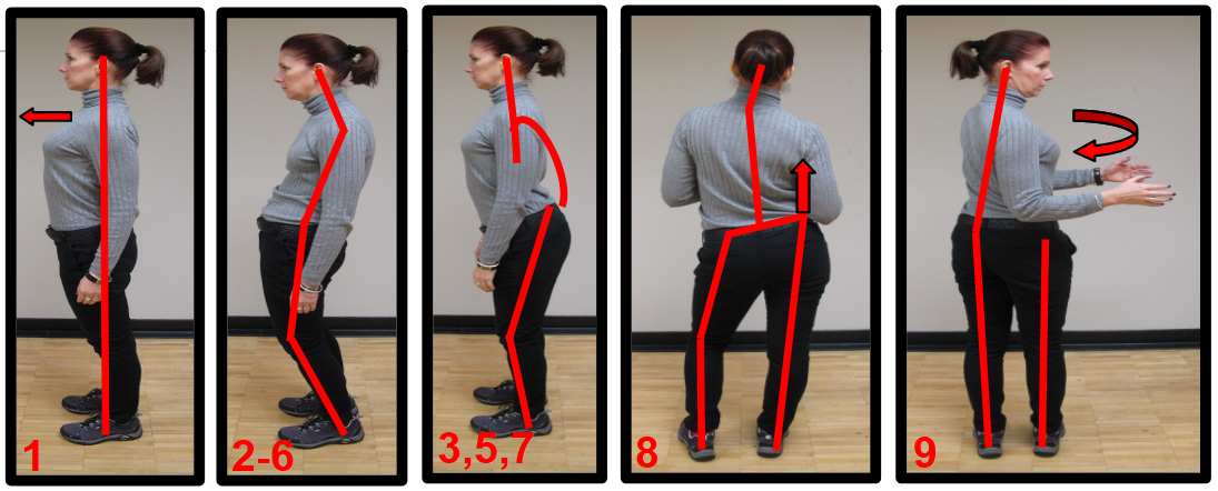 Lower Back - Stretching, Exercises, & Posture | Work-Fit