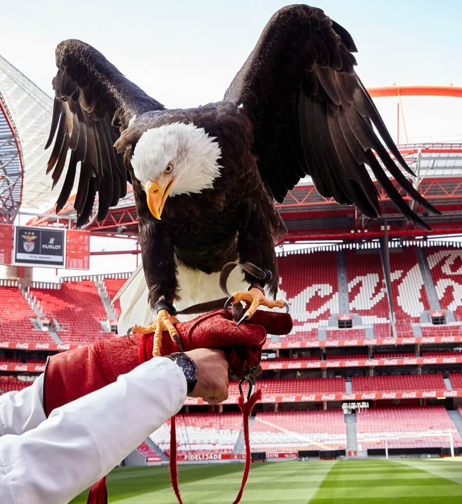 Aguia Vitoria eagle Benfica Hublot