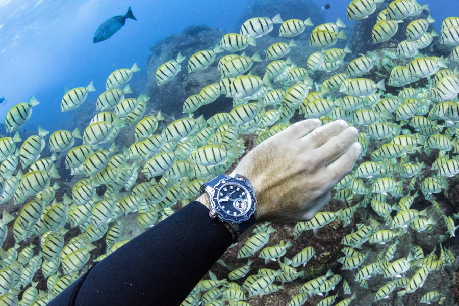 Ulysse Nardin Diver Deep Dive
