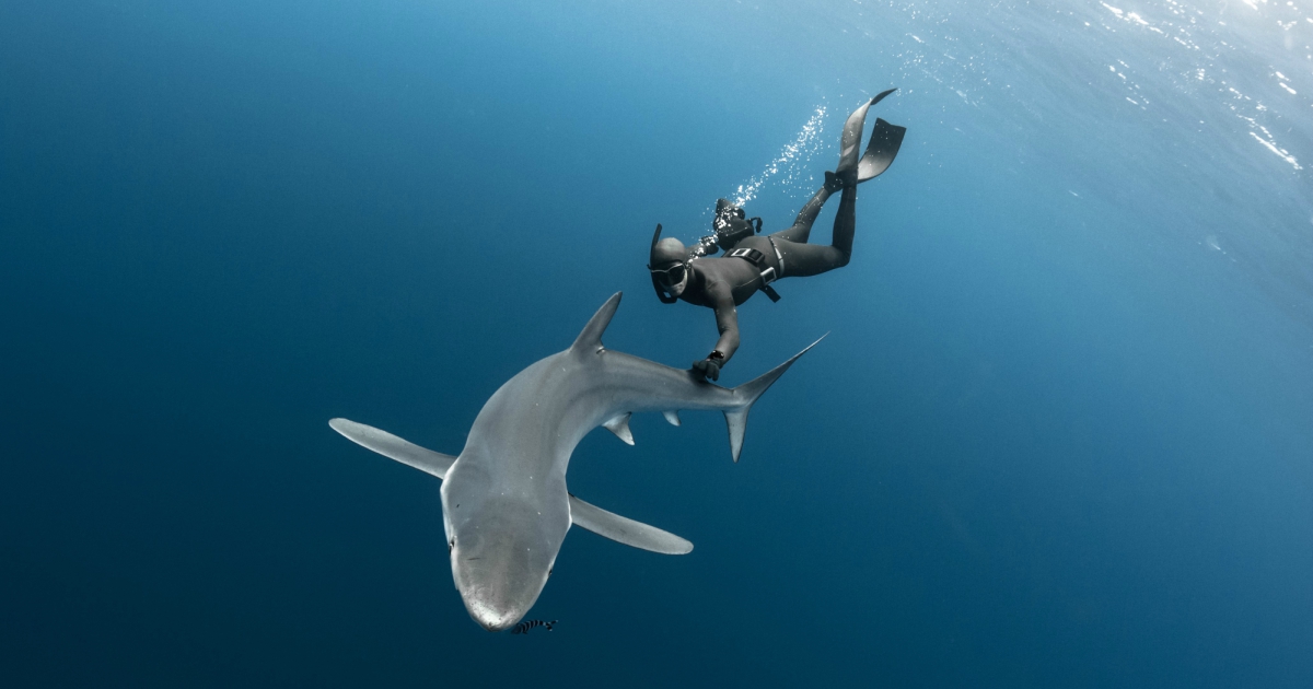Fearless Free Diver Fred Buyle Partners With Ulysse Nardin