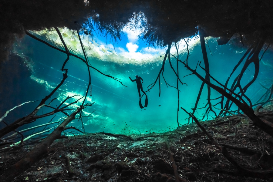 Fearless Free Diver Fred Buyle
