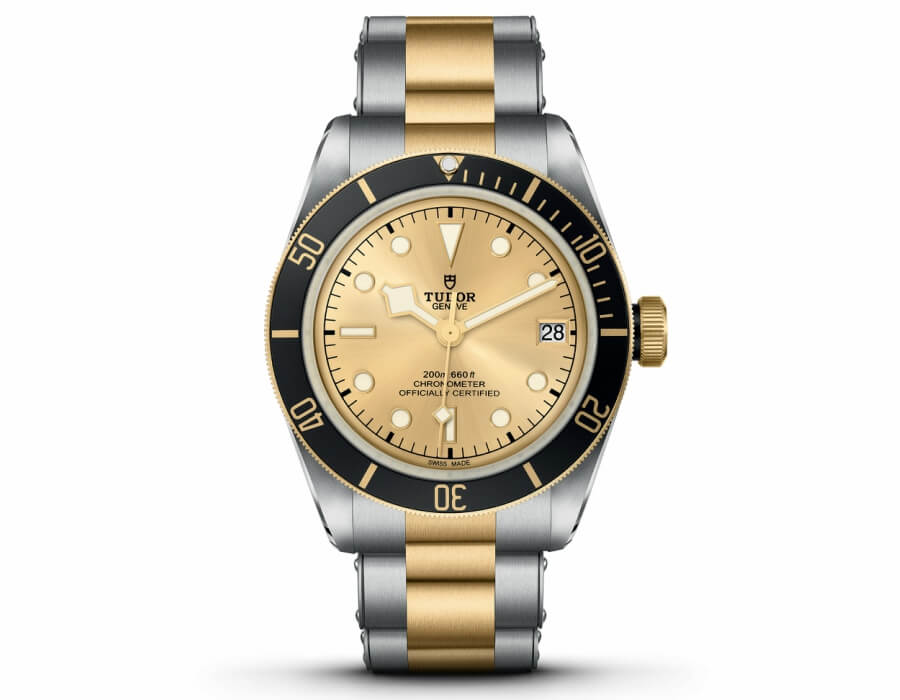 The New Tudor Black Bay S&G