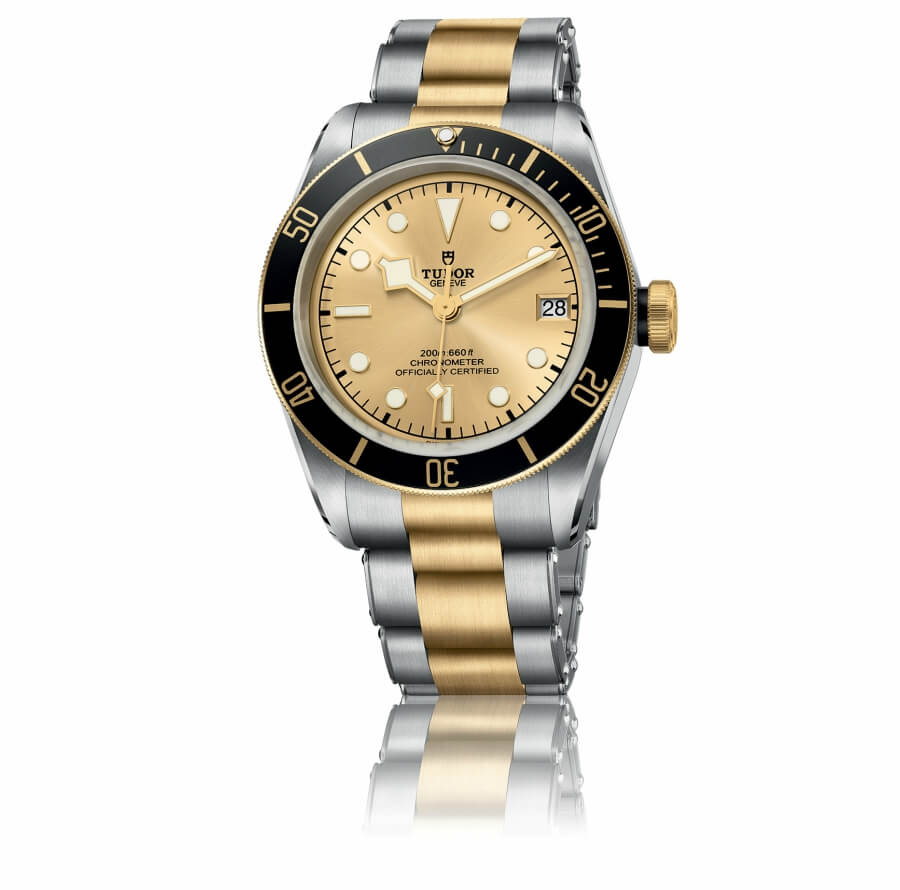 Tudor Ref. 79733N