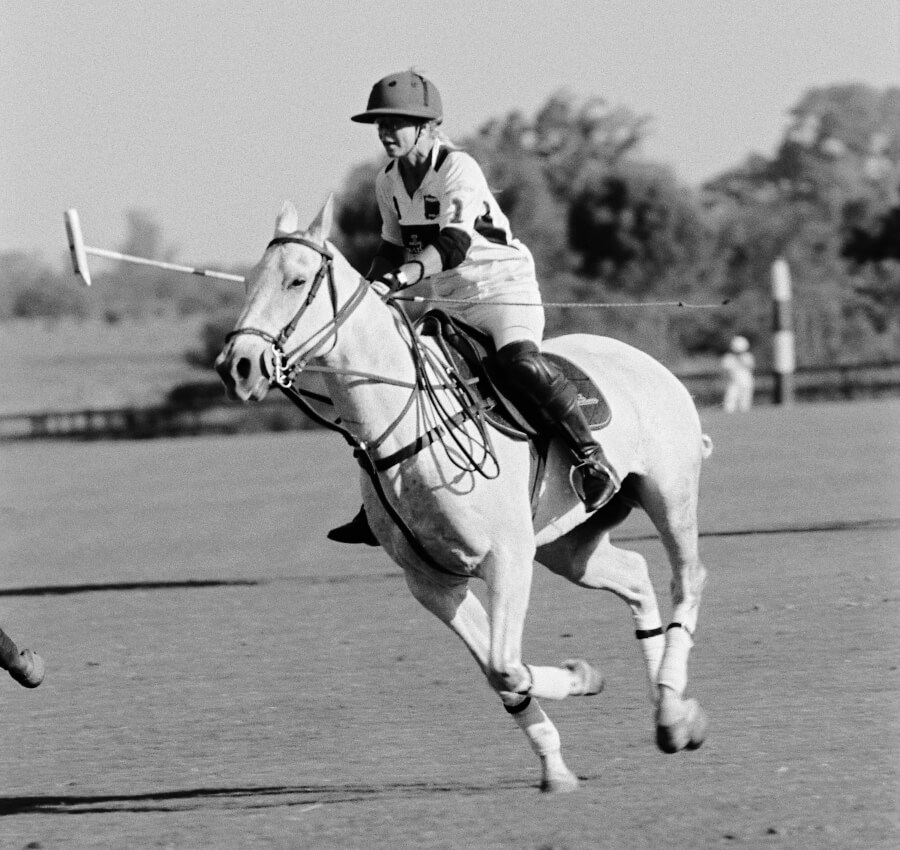 Jaeger-LeCoultre Reverso Polo