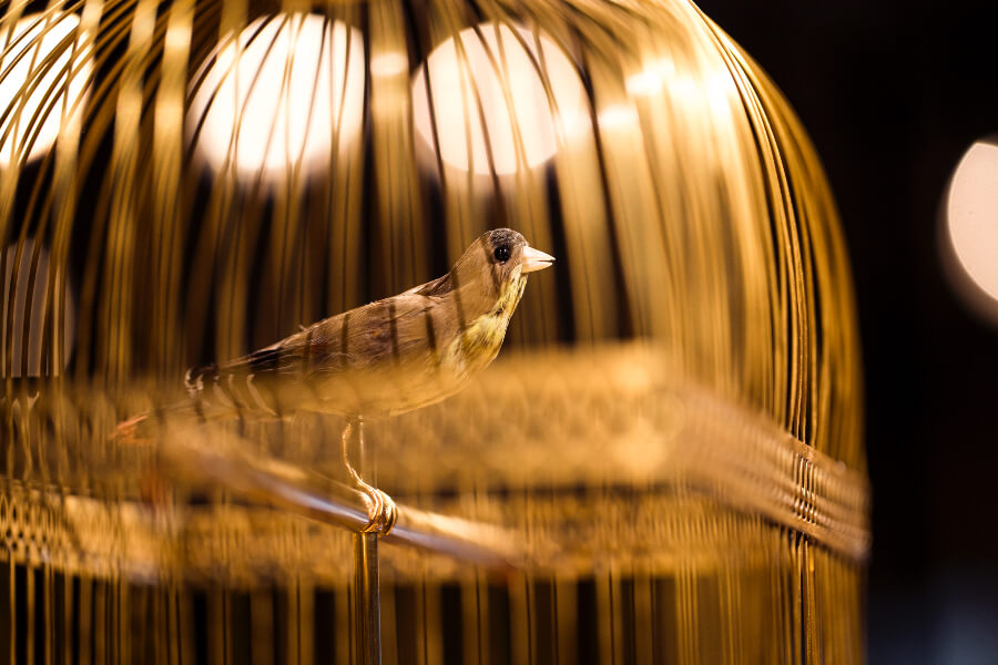Jaquet Droz Singing Bird Clock