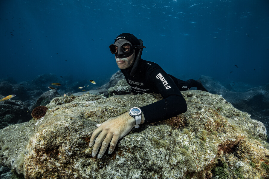 Ulysse Nardin Diver Chronometer Great White Limited Edition