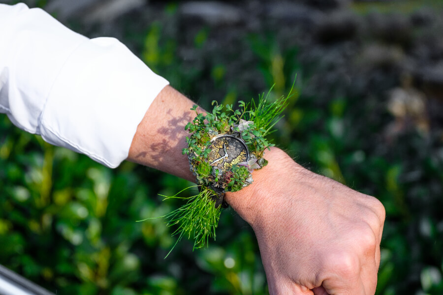 H. Moser & Cie. Nature Watch Review
