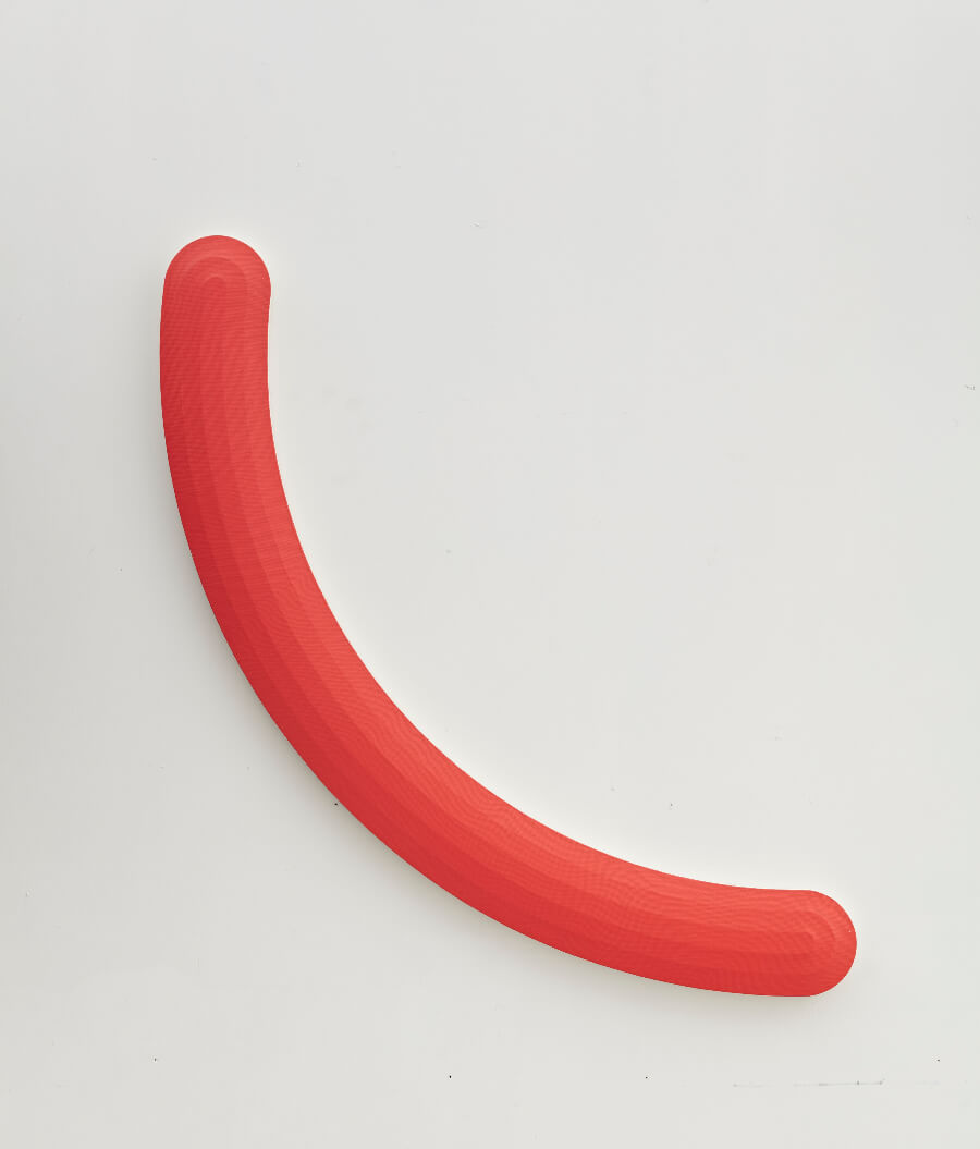 Josh Sperling - Red Squiggle, 2015