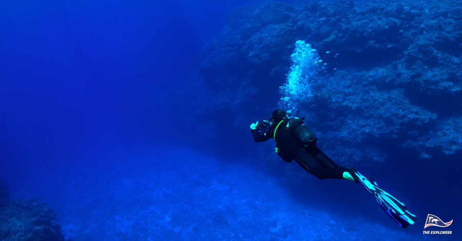 Best Dive Sites On the Planet