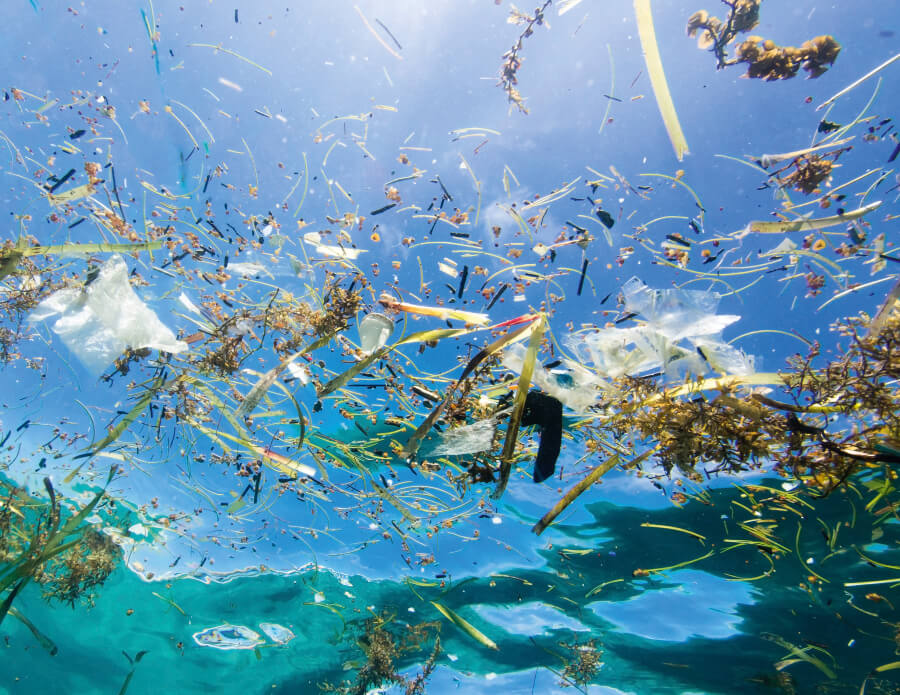 Ocean Pollution