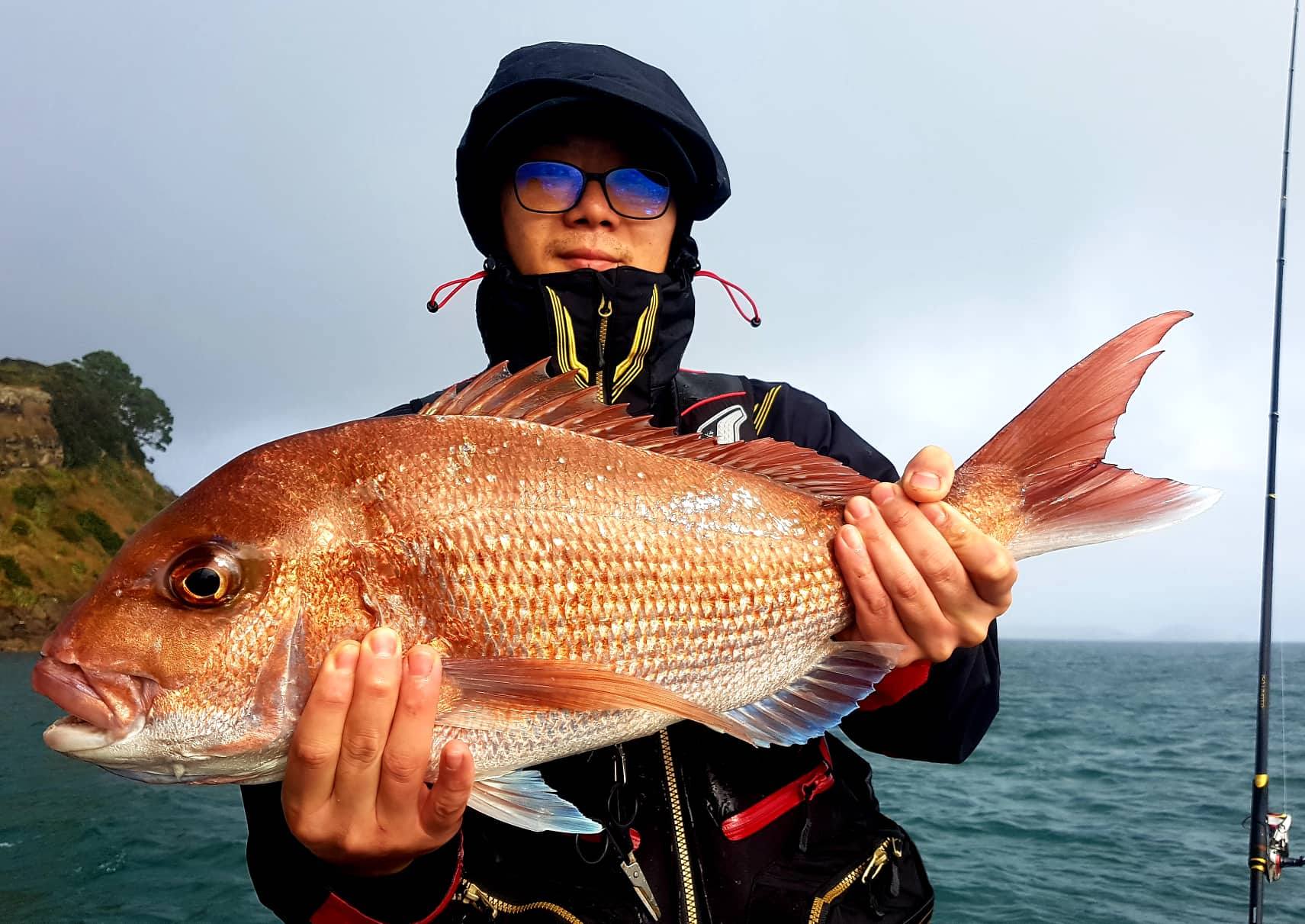 Mandel Fish Snapper in TOP condition | Sep 08, 2020 | Fish Spot-X Blog