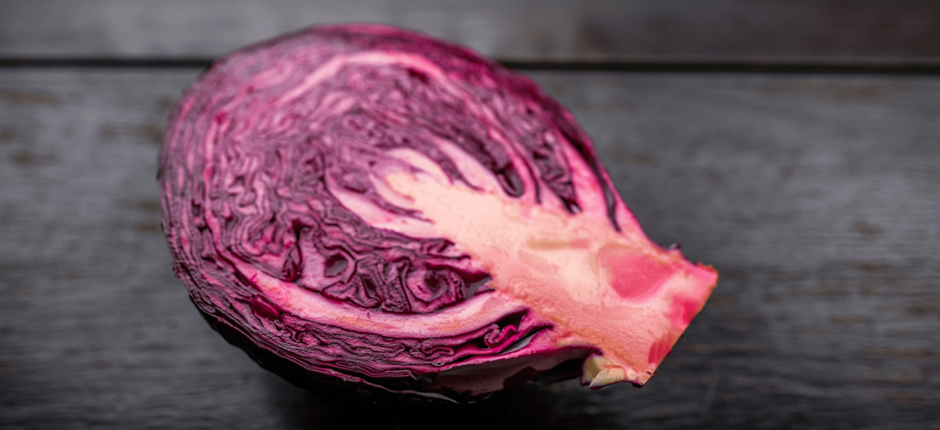 batard banner slideshow image purple cabbage