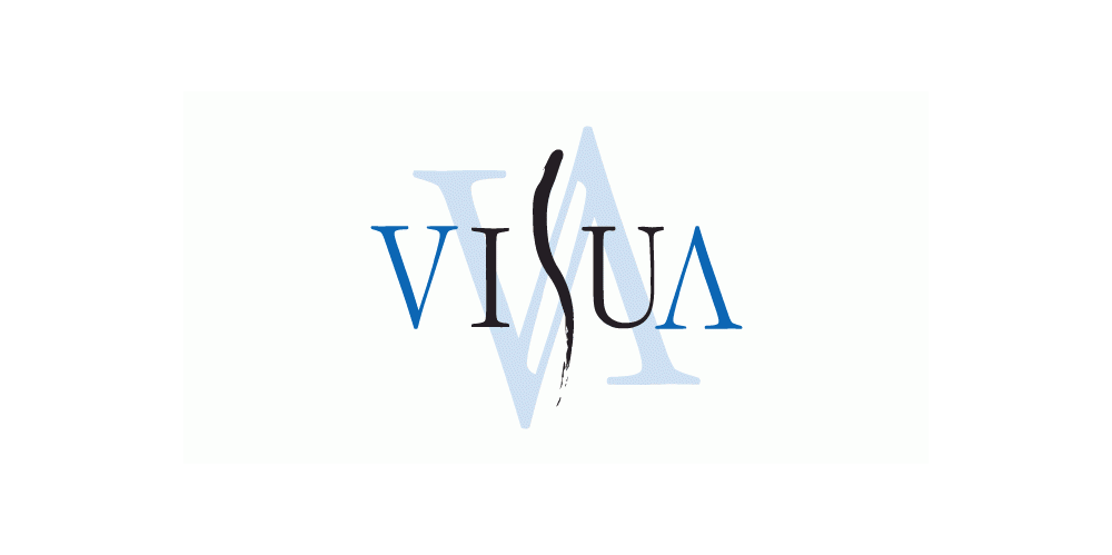Visua logo