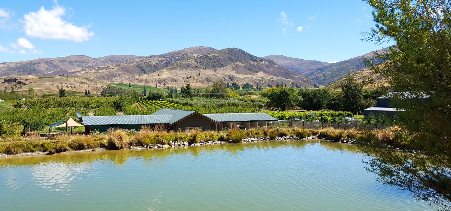 Dog Kennels Cromwell Central Otago Dog Boarding Kennel